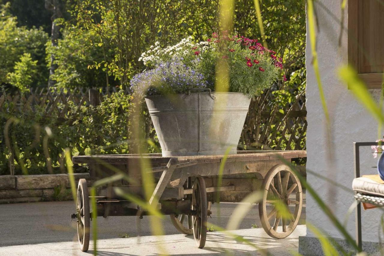 Ferienhaus Badersee 格赖瑙 外观 照片